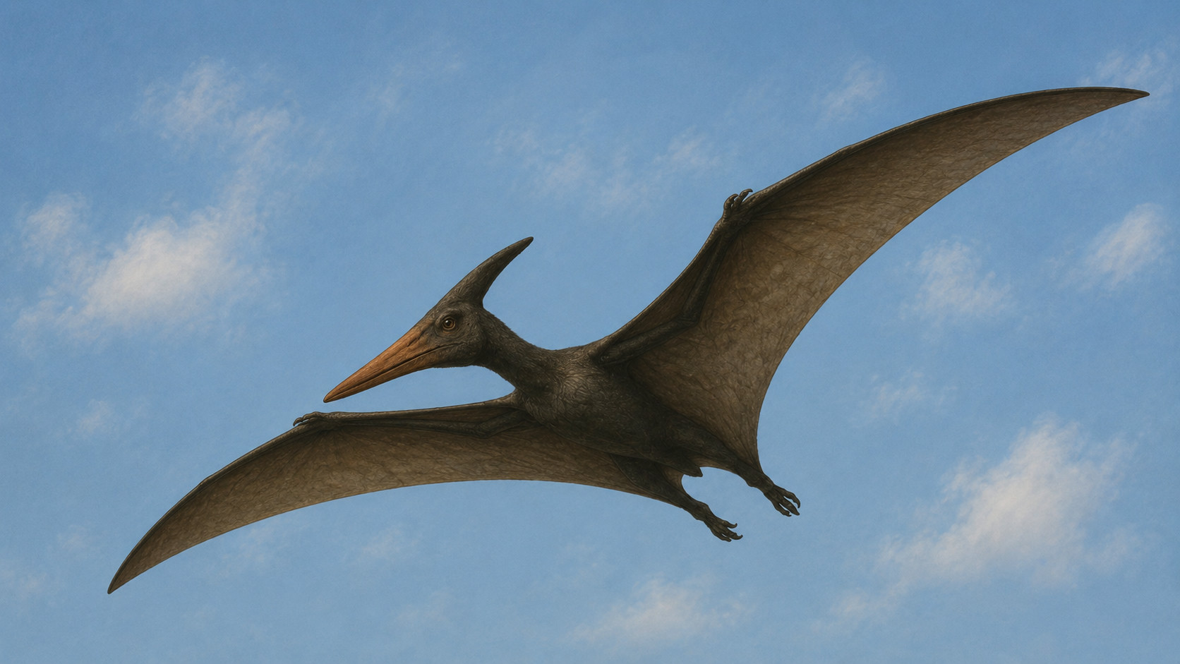 Птеранодон (Pteranodon longiceps)