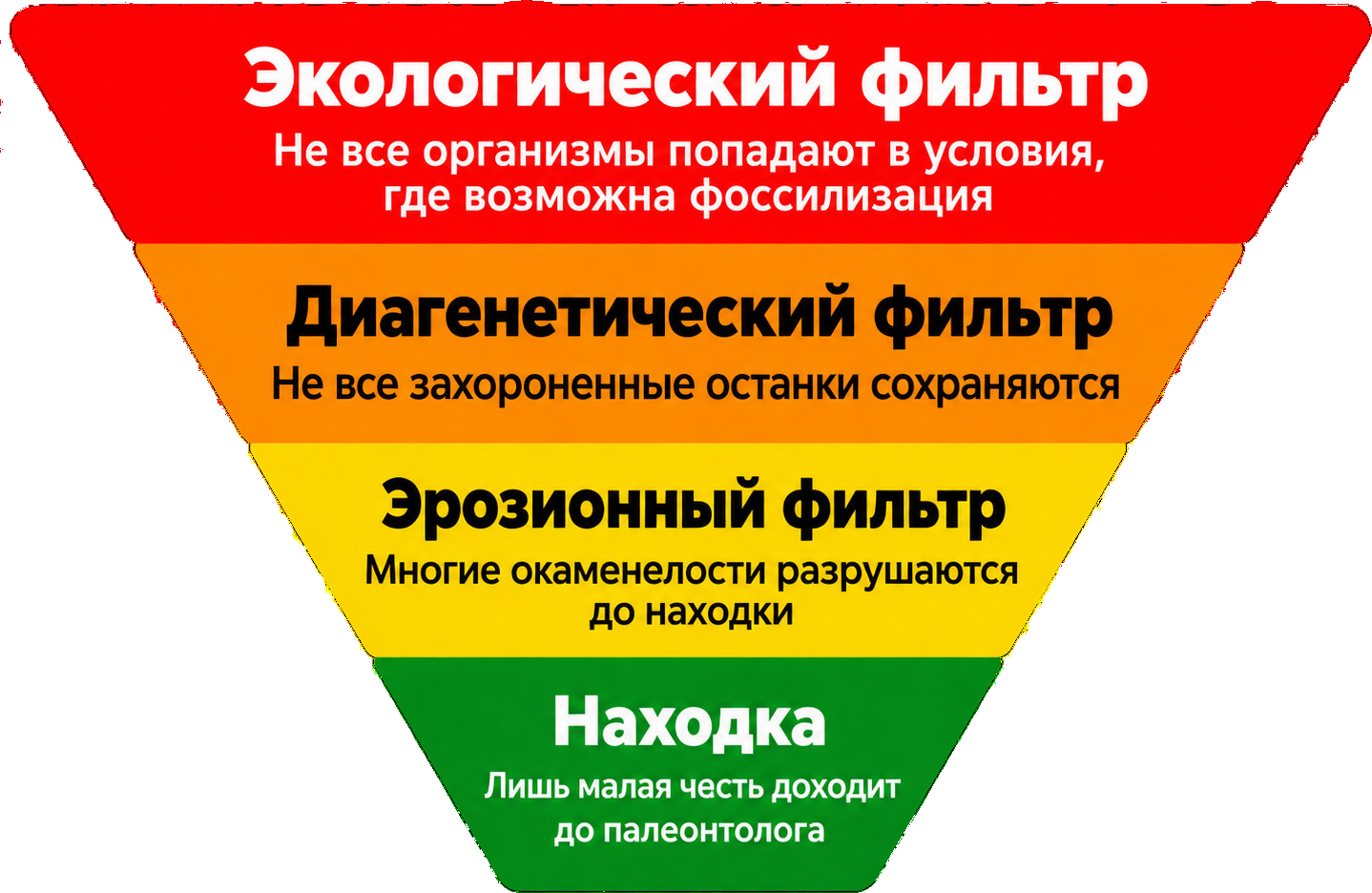 Тафономические фильтры
